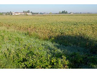 PROPERTY #3 - REAL ESTATE AUCTION IN MERCER COUNTY, OHIO